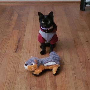 Meet your Posher, Christine